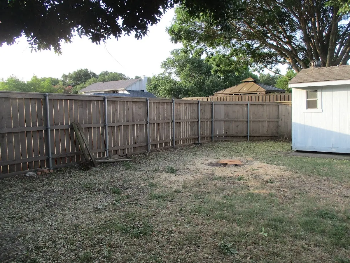 Cleared yard after professional tree removal in Blue Gap
